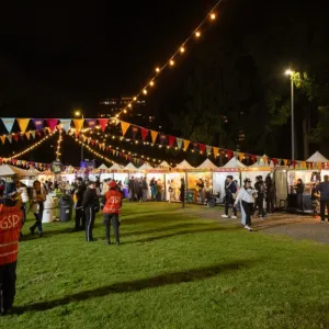Zona ZAE en un Festival